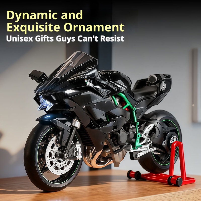 Kawasaki Ninja H2R Modèle dyna - Battery Case Storage avis et prix